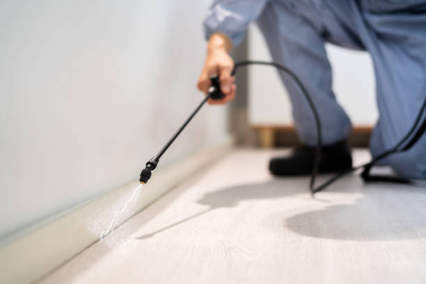 Licensed Mosquito Control service in Conehatta, MS - Show Me Pest Control