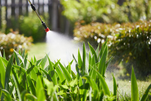 24/7 Emergency Mosquito Control experts in Conehatta, MS